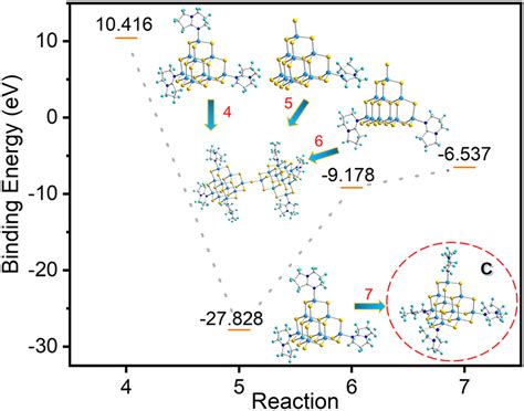 Competitive Coordination And Lewis Base Interactions Of Amines In