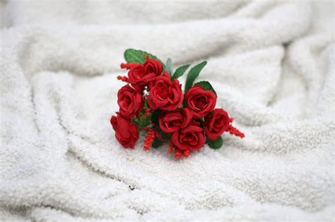 Os Mon Logos Da Vagina Da Eve Ensler Prateleira De Cima