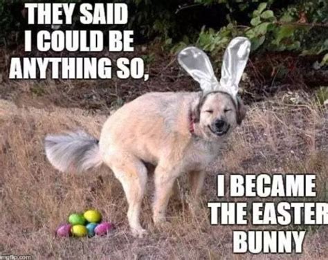 Easter Meme Funny Easter Memes Easter Humor Happy Easter Funny