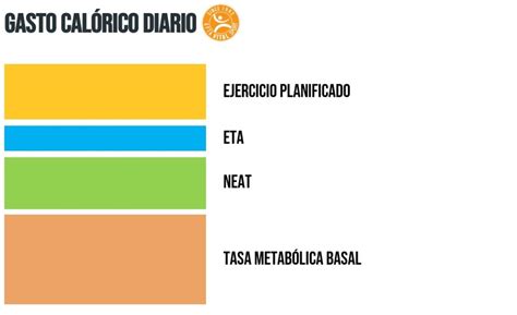 Qué es el efecto termogénico de los alimentos ETA Revista Fitness