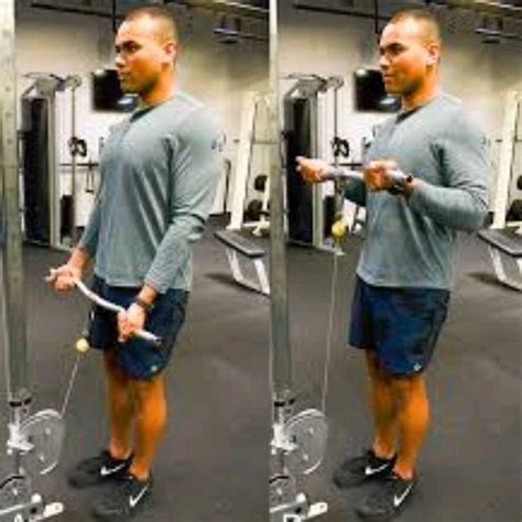 Сгибание рук на Нижнем Блоке by Linar Min - Exercise How-to - Skimble