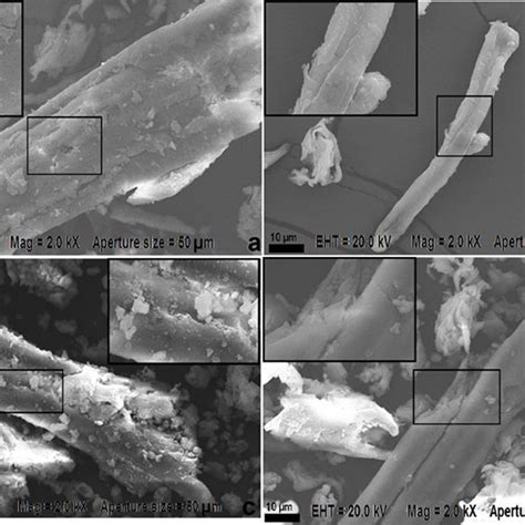 Scanning Electron Microscopy Images Of Different Fiber Surfaces A In