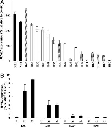 Expression Of WNK2 Was Down Regulated In Human Gliomas And Reactivated