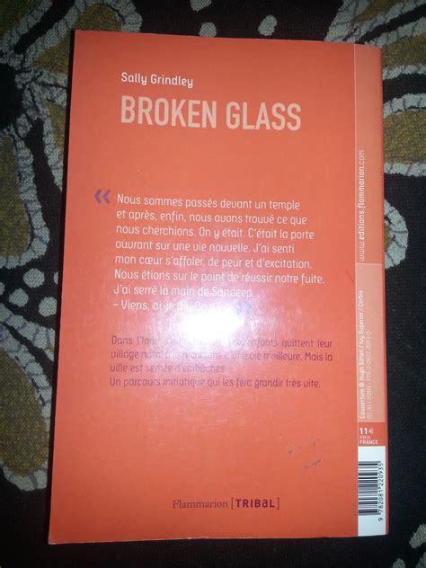 Broken Glass De Sally Grindley Retrouver Le Site Sur Inde En Livresfr