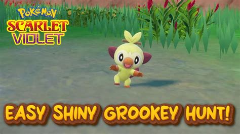 How To Easily Shiny Hunt Grookey In Pokemon Scarlet And Violet The Indigo Disk Youtube