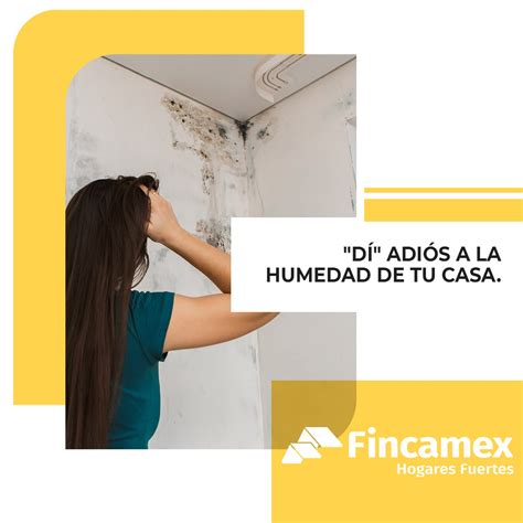 Di adiós a la humedad de tu casa Fincamex