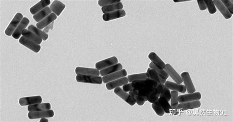 Peg纳米金nano Gold Peg Amine氨基化au Peg N3叠氮修饰聚乙二醇 知乎