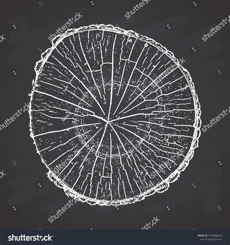 Tree Log Wood Growth Rings Grunge Stock Vector Royalty Free