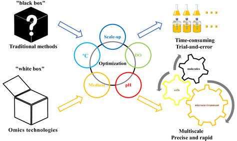 Comparison Of Microbial Manufacturing Process Optimization Using