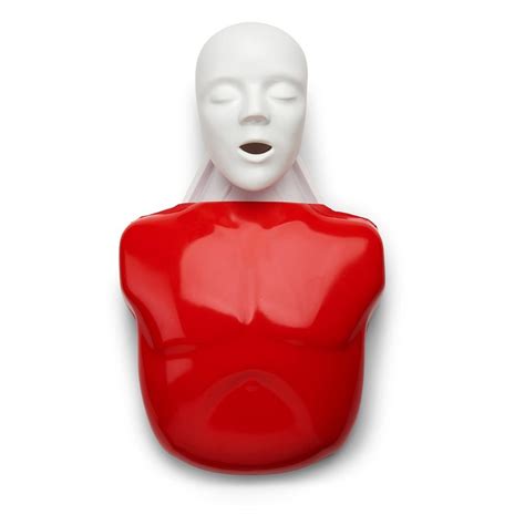 Basic Buddy® Cpr Manikin 5 Pack