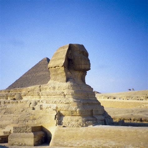 Egypt-Sphinx-ICON