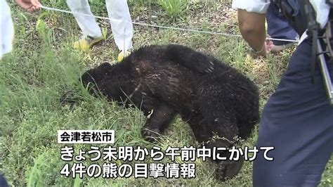 クマの目撃情報相次ぎ1頭駆除 会津若松市｜日テレnews Nnn