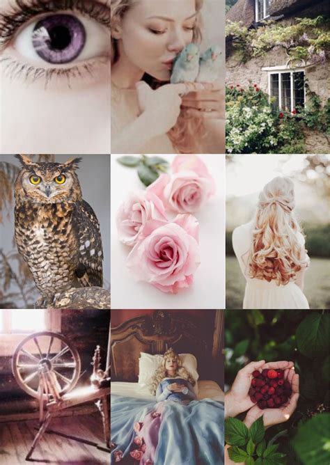 Aurora sleeping beauty aesthetic inspiration | Aurora sleeping beauty, Disney aesthetic, Disney ...