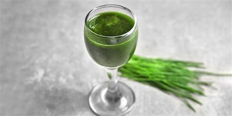 Health Benefits Of Wheatgrass Juice