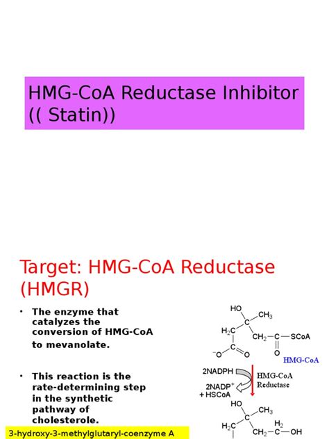 HMG-CoA Reductase Inhibitor | Statin | Organic Compounds