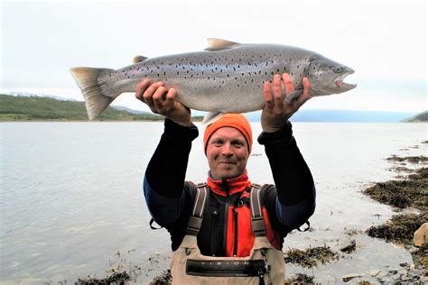 Fly Fishing For Sea Trout At Arctic Ocean Grayling Land® Fly Fishing