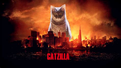 🔥 [40+] Catzilla Backgrounds | WallpaperSafari