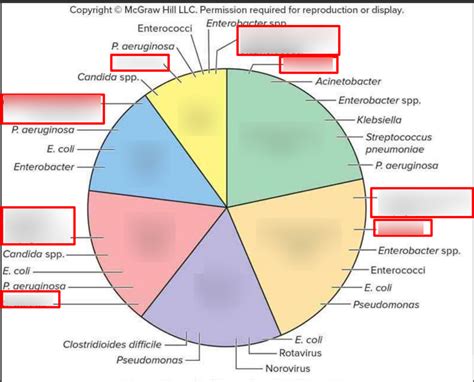 Comprehensive Overview Of Nosocomial Infections Key Diagrams And