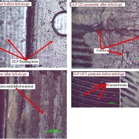 Surface Morphology Of Dlp Specimens Printed In X And Z