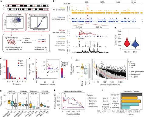 Targeted Perturb Seq Enables Genome Scale Genetic Screens In Single