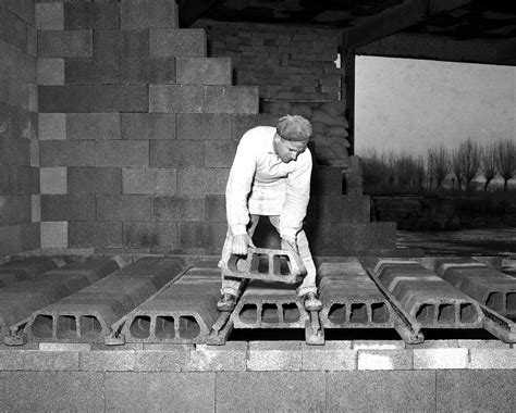 Il muro al confine tra due terreni o tra due proprietà