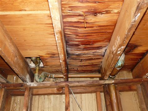 Water Ceiling Damage Repair Shelly Lighting