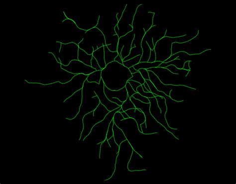 Detailed Cell Information: Ms509_RT_INF_C2_Gr2_D0