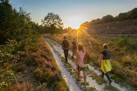 België Nationaal Park Hoge Kempen Travellers Wandelvakanties