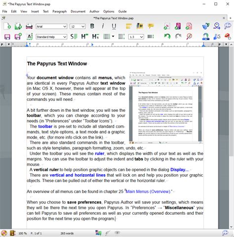 The Document Window – Papyrus Author