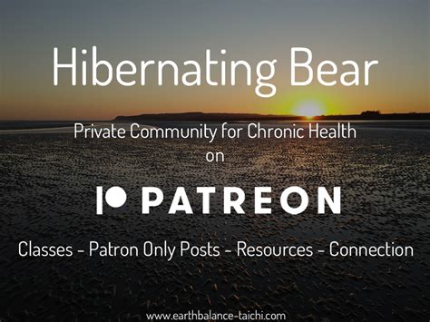 Hibernating Bear Tai Chi Qigong Meditation For Health