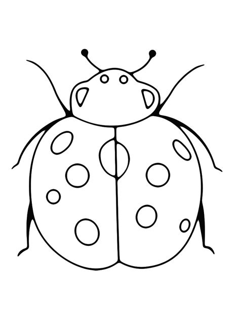 Coccinella Da Dipingere Disegni Da Colorare