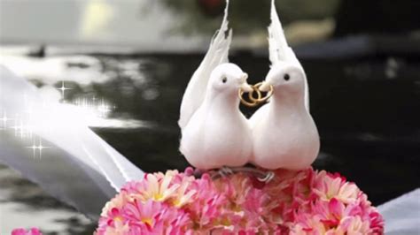 Красивое поздравление С годовщиной свадьбы / With wedding anniversary ...