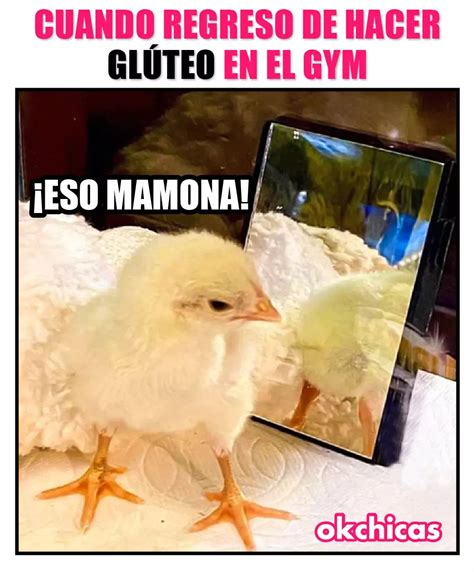 Cuando regreso de hacer glúteo en el gym Eso mamona Memes