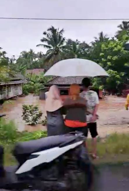 Tanggul Sungai Jebol Puluhan Rumah Dan Ratusan Hektar Sawah Di Lampung