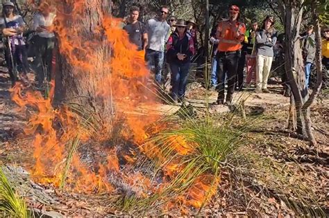 First Cultural Burn On Country For Walkabout Wildlife Sanctuary