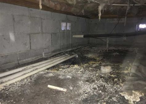 Southeast Foundation And Crawl Space Repair Crawl Space Repair Photo