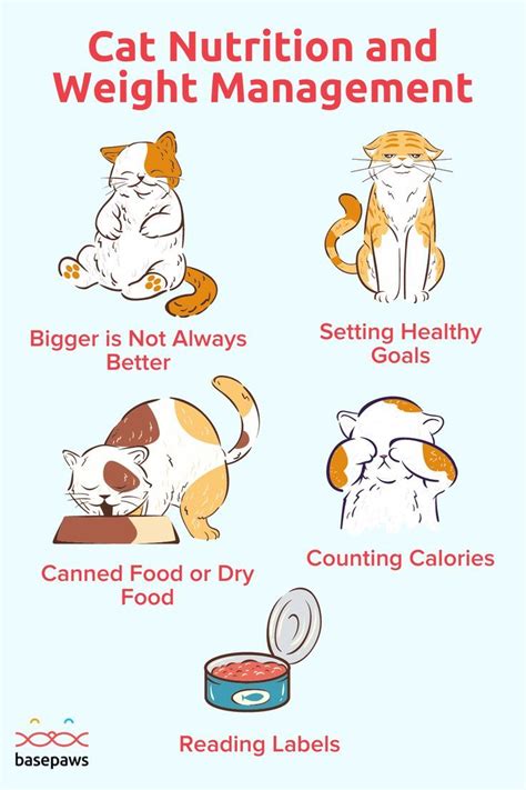 Most Toxic Foods For Cats Artofit