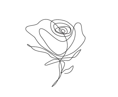 Premium Vector Continuous Line Drawing Of Rose Flower Minimalist Line