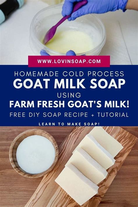 How To Make Goats Milk Soap Using Farm Fresh Goat’s Milk Goat Milk Soap Recipe Diy Goat Milk