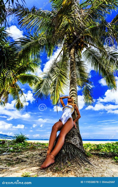 Femme Dans Le Bikini Blanc Posant Au Palmier Photo Stock Image Du