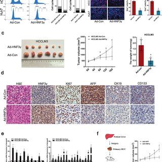 HNF3γ inhibits HCC cell proliferation and xenografted HCC growth. a ... 