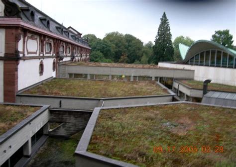 University Library Basel - Greenroofs.com