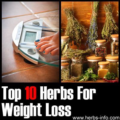 Herbs For Weight Loss