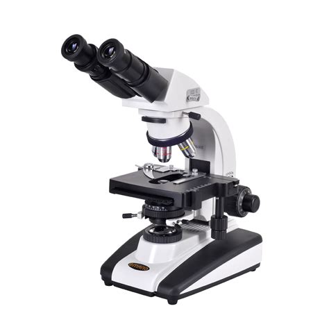 Microscope Png Transparent Microscopepng Images Pluspng