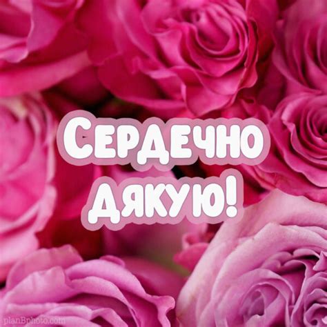Листівки Дякую - красиві картинки зі словами подяки