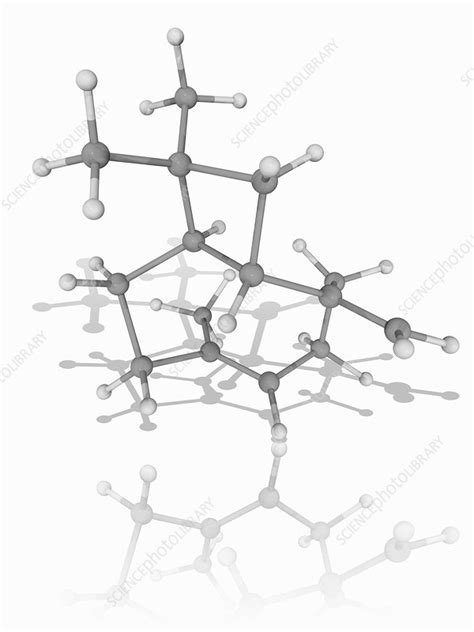 Caryophyllene Organic Compound Molecule Stock Image F0169623