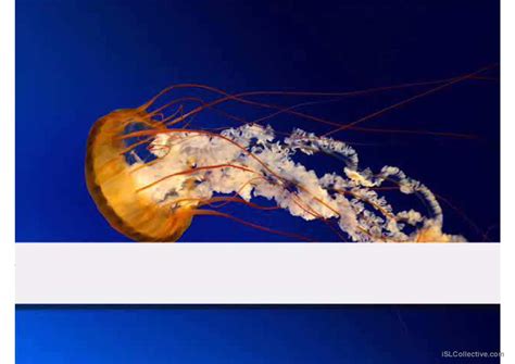 The Exercise Of Describing Picture P English Esl Powerpoints