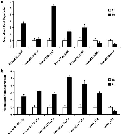 Gene Expression Pattern Verification By Qrt Pcr A Deg Verification B