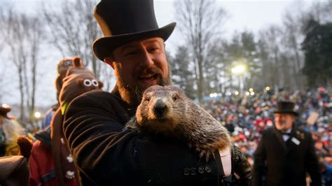 PETA calls for Punxsutawney Phil to retire, be replaced with AI robot for Groundhog Day | FOX 5 ...