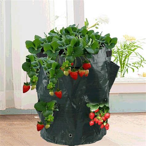 Jardini Re Sac De Plantation De Fraises Suspendu Sacs De Culture